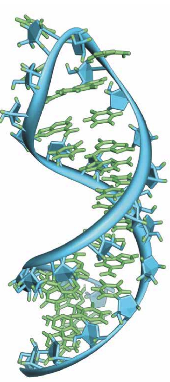 Tα μόρια της ζωής και ο «κόσμος του RNA»