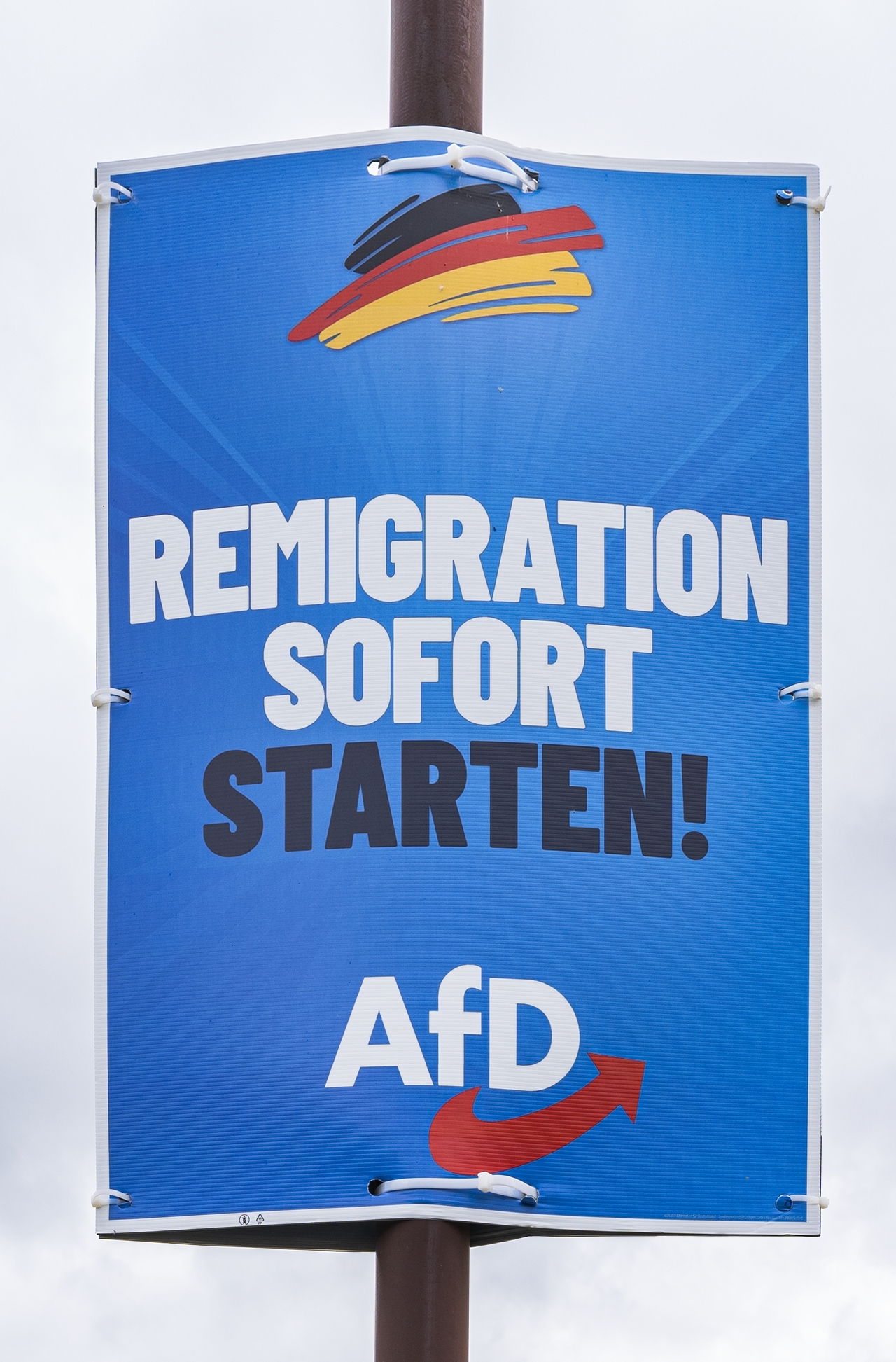 Είναι αντιδημοκρατική η θεώρηση του AfD ως επιβεβαιωμένα εξτρεμιστική οργάνωση;