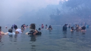 23 &Iota;&omicron;&upsilon;&lambda;ί&omicron;&upsilon; 2018, &Alpha;&rho;&gamma;&upsilon;&rho;ά &Alpha;&kappa;&tau;ή, &Mu;ά&tau;&iota;, &Alpha;&tau;&tau;&iota;&kappa;ή. Ά&nu;&theta;&rho;&omega;&pi;&omicron;&iota; έ&chi;&omicron;&upsilon;&nu; &pi;έ&sigma;&epsilon;&iota; &sigma;&tau;&eta; &theta;ά&lambda;&alpha;&sigma;&sigma;&alpha; &gamma;&iota;&alpha; &nu;&alpha; &gamma;&lambda;&iota;&tau;ώ&sigma;&omicron;&upsilon;&nu; &alpha;&pi;ό &tau;&eta;&nu; &pi;&upsilon;&rho;&kappa;&alpha;&gamma;&iota;ά. &Omicron; &Nu;ί&kappa;&omicron;&sigmaf; &Beta;&epsilon;&rho;&upsilon;&kappa;&omicron;&kappa;&kappa;ί&delta;&eta;&sigmaf; &kappa;&alpha;&tau;έ&gamma;&rho;&alpha;&psi;&epsilon; &mu;&epsilon; &tau;&eta;&nu; &kappa;ά&mu;&epsilon;&rho;&alpha; &tau;&omicron;&upsilon; &kappa;&iota;&nu;&eta;&tau;&omicron;ύ &tau;&omicron;&upsilon; &tau;&alpha; &delta;&rho;&alpha;&mu;&alpha;&tau;&iota;&kappa;ά &pi;&epsilon;&rho;&iota;&sigma;&tau;&alpha;&tau;&iota;&kappa;ά.  