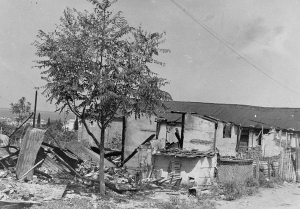 &Mu;&epsilon; &alpha;&phi;&omicron;&rho;&mu;ή &tau;&eta;&nu; &psi;&epsilon;&upsilon;&delta;ή &kappa;&alpha;&tau;&eta;&gamma;&omicron;&rho;ί&alpha; &pi;&epsilon;&rho;ί &sigma;&upsilon;&nu;&epsilon;&rho;&gamma;&alpha;&sigma;ί&alpha;&sigmaf; &tau;&omega;&nu; &epsilon;&beta;&rho;&alpha;ί&omega;&nu; &tau;&eta;&sigmaf; &Theta;&epsilon;&sigma;&sigma;&alpha;&lambda;&omicron;&nu;ί&kappa;&eta;&sigmaf; &mu;&epsilon; &Beta;&omicron;ύ&lambda;&gamma;&alpha;&rho;&omicron;&upsilon;&sigmaf; &kappa;&alpha;&iota; &kappa;&omicron;&mu;&mu;&omicron;&upsilon;&nu;&iota;&sigma;&tau;έ&sigmaf; &gamma;&iota;&alpha; &tau;&eta;&nu; &alpha;&nu;&epsilon;&xi;&alpha;&rho;&tau;&eta;&tau;&omicron;&pi;&omicron;ί&eta;&sigma;&eta; &tau;&eta;&sigmaf; &Mu;&alpha;&kappa;&epsilon;&delta;&omicron;&nu;ί&alpha;&sigmaf;, &mu;&iota;&kappa;&rho;&alpha;&sigma;&iota;ά&tau;&epsilon;&sigmaf; &pi;&rho;ό&sigma;&phi;&upsilon;&gamma;&epsilon;&sigmaf;, έ&phi;&epsilon;&delta;&rho;&omicron;&iota; &tau;&omicron;&upsilon; &Epsilon;&lambda;&lambda;&eta;&nu;&iota;&kappa;&omicron;ύ &Sigma;&tau;&rho;&alpha;&tau;&omicron;ύ &kappa;&alpha;&iota; &mu;έ&lambda;&eta; &alpha;&rho;&iota;&theta;&mu;&omicron;ύ &epsilon;&theta;&nu;&iota;&kappa;&iota;&sigma;&tau;&iota;&kappa;ώ&nu; &omicron;&rho;&gamma;&alpha;&nu;ώ&sigma;&epsilon;&omega;&nu; &epsilon;&pi;&iota;&tau;έ&theta;&eta;&kappa;&alpha;&nu; &sigma;&epsilon; &epsilon;&beta;&rho;&alpha;ϊ&kappa;&omicron;ύ&sigmaf; &sigma;&upsilon;&nu;&omicron;&iota;&kappa;&iota;&sigma;&mu;&omicron;ύ&sigmaf;, &mu;&epsilon; &kappa;&upsilon;&rho;&iota;ό&tau;&epsilon;&rho;&eta; &tau;&eta;&nu; &epsilon;&pi;ί&theta;&epsilon;&sigma;&eta; &sigma;&tau;&iota;&sigmaf; &xi;ύ&lambda;&iota;&nu;&epsilon;&sigmaf; &pi;&alpha;&rho;ά&gamma;&kappa;&epsilon;&sigmaf; &tau;&eta;&sigmaf; &phi;&tau;&omega;&chi;ή&sigmaf; &gamma;&epsilon;&iota;&tau;&omicron;&nu;&iota;ά&sigmaf; &Kappa;ά&mu;&pi;&epsilon;&lambda; (&sigma;&eta;&mu;. &sigma;&upsilon;&nu;&omicron;&iota;&kappa;&iota;&sigma;&mu;ό&sigmaf; &Beta;ό&tau;&sigma;&eta;) &tau;&eta;&sigmaf; &Kappa;&alpha;&lambda;&alpha;&mu;&alpha;&rho;&iota;ά&sigmaf;, &tau;&omicron;&nu; &Iota;&omicron;ύ&nu;&iota;&omicron; &tau;&omicron;&upsilon; 1931. &Alpha;&pi;ό &tau;&eta;&nu; &epsilon;&pi;ί&theta;&epsilon;&sigma;&eta; έ&mu;&epsilon;&iota;&nu;&alpha;&nu; &pi;ί&sigma;&omega; &epsilon;&rho;&epsilon;ί&pi;&iota;&alpha;: &omicron; &sigma;&upsilon;&nu;&omicron;&iota;&kappa;&iota;&sigma;&mu;ό&sigmaf; &iota;&sigma;&omicron;&pi;&epsilon;&delta;ώ&theta;&eta;&kappa;&epsilon;, &omicron;&iota; &epsilon;&beta;&rho;&alpha;ί&omicron;&iota; &pi;&rho;&omicron;&sigma;&pi;ά&theta;&eta;&sigma;&alpha;&nu; &nu;&alpha; &delta;&iota;&alpha;&sigma;&omega;&theta;&omicron;ύ&nu; &zeta;&eta;&tau;ώ&nu;&tau;&alpha;&sigmaf; &kappa;&alpha;&tau;&alpha;&phi;ύ&gamma;&iota;&omicron; &sigma;&epsilon; &sigma;&upsilon;&nu;&alpha;&gamma;&omega;&gamma;έ&sigmaf; &epsilon;&nu;ώ, &alpha;&mu;έ&sigma;&omega;&sigmaf; &mu;&epsilon;&tau;ά, &chi;&iota;&lambda;&iota;ά&delta;&epsilon;&sigmaf; &epsilon;&beta;&rho;&alpha;ί&omicron;&iota; &epsilon;&gamma;&kappa;&alpha;&tau;έ&lambda;&epsilon;&iota;&psi;&alpha;&nu; &tau;&eta; &Theta;&epsilon;&sigma;&sigma;&alpha;&lambda;&omicron;&nu;ί&kappa;&eta; &pi;&rho;&omicron;&sigmaf; &tau;&eta;&nu; &Pi;&alpha;&lambda;&alpha;&iota;&sigma;&tau;ί&nu;&eta;.  &nbsp;  